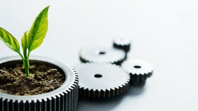 Alfabet también plantea alternativas verdes para sus servicios