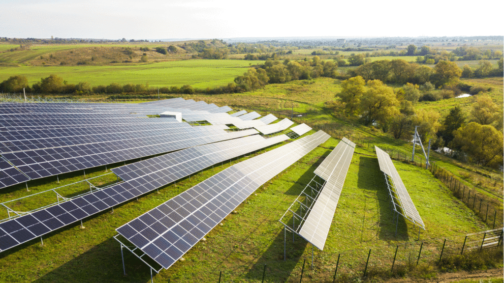 Combinar ganadería y granjas solares, ¿El futuro de nuestro campo?