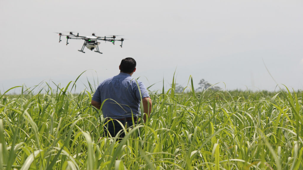 Los drones dominarán la agricultura